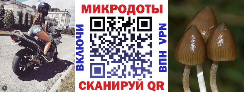 Галлюциногенные грибы Cubensis Льгов